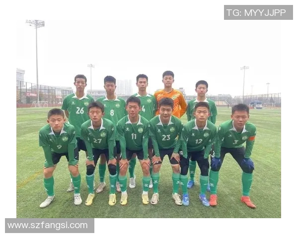 西安篮球队实力强劲荣登全国个人能力排行榜第五名